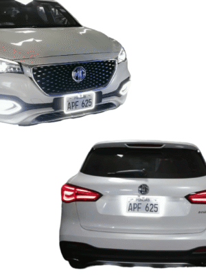 2pc neon light | car plat frame | with camera fitting option | car exterior accessories
